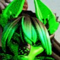 Profile picture chernobylcanine.bsky.social