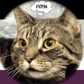 Profile picture aganessie.bsky.social