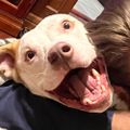 Profile picture mommatiger.bsky.social
