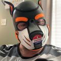Profile picture pup-elio1.bsky.social
