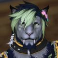 Profile picture xarek.bsky.social