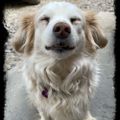 Profile picture imjencastle.bsky.social