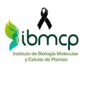 Profile picture ibmcp.bsky.social