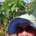 Profile picture purliticalgardener.bsky.social