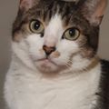 Profile picture thenudge.bsky.social