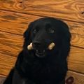 Profile picture imceecee.bsky.social