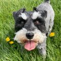 Profile picture beka-jane.bsky.social