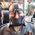 Profile picture kinkysubwoofer.bsky.social