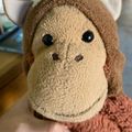 Profile picture euanw.bsky.social