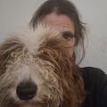 Profile picture valiantventures.bsky.social