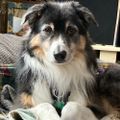 Profile picture huckfinnvt.bsky.social