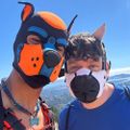 Profile picture theshoevox.bsky.social
