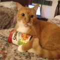 Profile picture mikkijchandler.bsky.social
