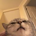 Profile picture neitherdoeye.bsky.social