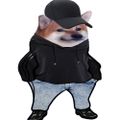 Profile picture magnusfella.bsky.social