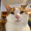 Profile picture biggestnerdalive.bsky.social
