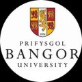 Profile picture bangoruniversity.bsky.social