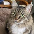 Profile picture queenlola741.bsky.social
