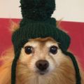 Profile picture leelowise.bsky.social