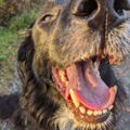 Profile picture gerinclare.bsky.social