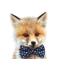 Profile picture amunicipalfox.bsky.social
