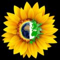 Profile picture thegentyyc.bsky.social