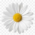 Profile picture wanderingct.bsky.social