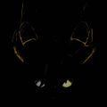 Profile picture oly.contain.agency