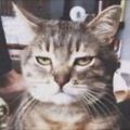 Profile picture jadehelm.bsky.social