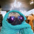 Profile picture gmeposhpug.bsky.social