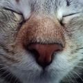 Profile picture pekenauta.bsky.social