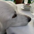 Profile picture bahome.bsky.social