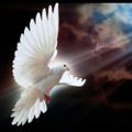 Profile picture rizvi5.bsky.social