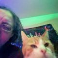 Profile picture zombiasnow.bsky.social