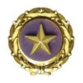 Profile picture goldstarmom.bsky.social