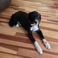 Profile picture neighbornextdoor.bsky.social