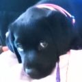 Profile picture j-netzel.bsky.social