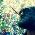 Profile picture halhaneyart.bsky.social