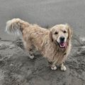 Profile picture oregon-rain.bsky.social