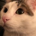 Profile picture benwarmuth.com