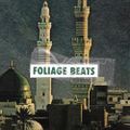 Profile picture foliagebeats.bsky.social