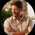 Profile picture lotusfalling.bsky.social