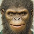 Profile picture apeshitnews.bsky.social