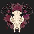 Profile picture lykus.art