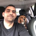 Profile picture pedronetto.bsky.social