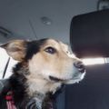 Profile picture daniel0159.bsky.social
