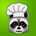 Profile picture chefdan.vtubers.social