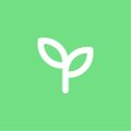 Profile picture imaturtlegurl.bsky.social