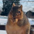 Profile picture rudyhammer13.bsky.social