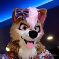 Profile picture baygull.bsky.social